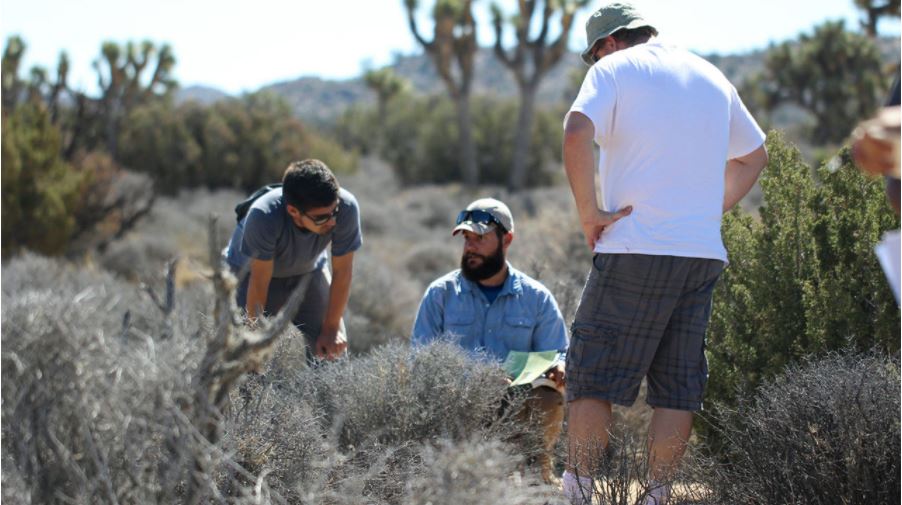 Citizen science by Green Impact