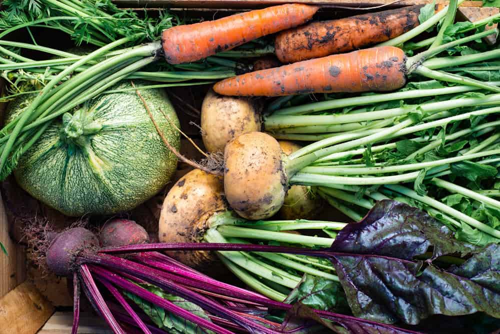 Eating seasonal local food: Fall veggie guide