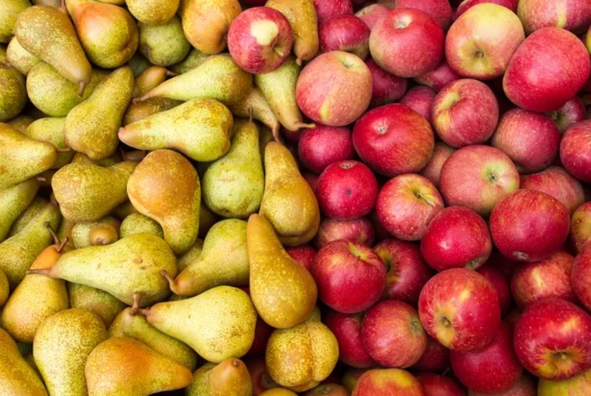 Eating seasonal: Fall Fruit Guide